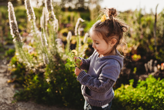 Toddler girl with flowers in her hair smiling at a flower in meadow
