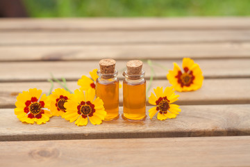 coreopsis essential oil in  beautiful bottle on table