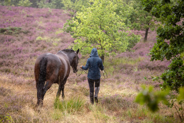 Frau spaziert mit Pferd im Regen durch die Heide