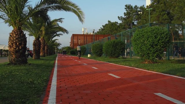 Unrecognizable cycler rides on an orange bicycle path beside palm trees and sports field at sunset on seashore