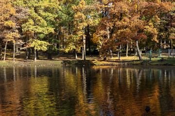 Gatchina, Russia - autumn landscape in the Gatchina park