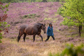 Frau spaziert im Regen mit Pferd durch die Heide