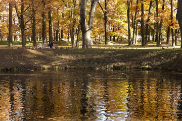 Gatchina, Russia - autumn landscape in the Gatchina park