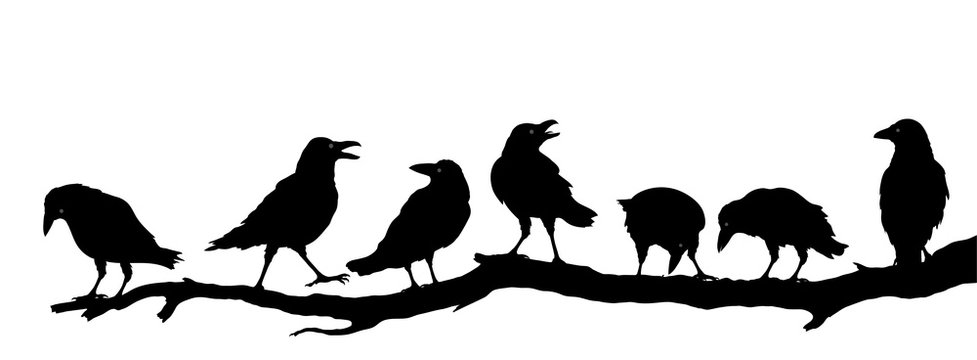 Rabenvögel am Ast, Raben Gruppe Silhouette, Vektor Illustration isoliert auf weißem Hintergrund