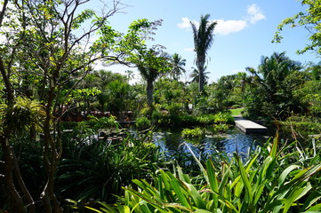 See in der Natur in Florida