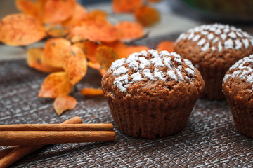 Chocolate muffins with apple filling on a background of autumn leaves and cinnamon