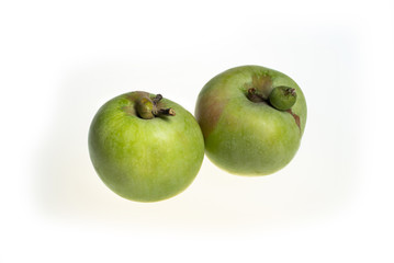 Trendy ugly food concept. Two green apples isolated on white background. Fruit with a strange shape. The problem of food waste