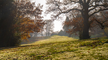 Naklejka premium Autumn in Roundhay Park