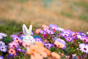 garden toy in flowers. multi-colored daisies. white hare hidin. ggreeting card with a hare in...