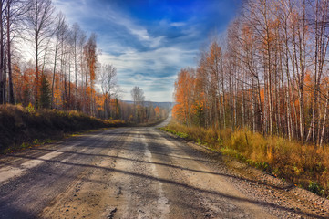 Obraz premium Colorful image of beautiful golden autumn landscape with different color trees, blue skies and road.