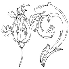 Vector Baroque monogram floral ornament. Black and white engraved ink art. Isolated monogram illustration element.