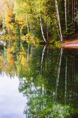 Autumn birch tree reflection in a lake in Adrspach Teplice Rocks (national nature reserve in Broumov Highlands region of Czech Republic)