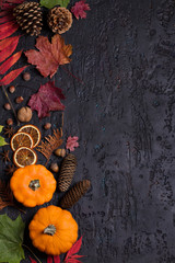 Autumn leaves, pumpkin, pine cones and nuts on black background with copy space. Thanksgiving concept. Flat lay, layout, room for text