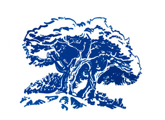 Two trees on the outskirts of the forest. Wind in the foliage of trees.