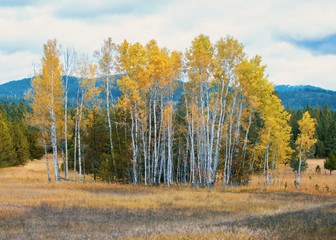 Autumn in the Northwest
