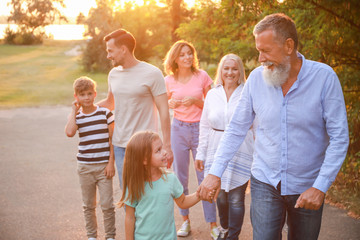 Big family walking in park