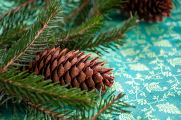 Fir tree with Pine cones. Christmas decoration background.