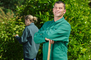 man gardener trimming hedge with garden shears
