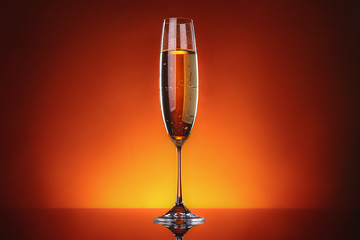 Glass of tasty champagne on dark color background