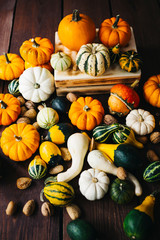 Group of colorful halloween decoration pumpkins at brown background