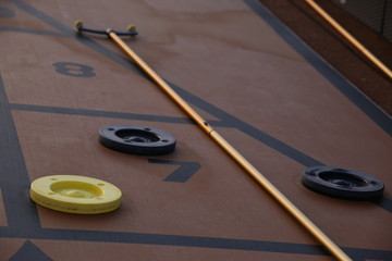 Shuffle Board with stick and discs