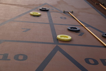 Shuffle Board with stick and discs