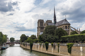 Fototapeta na wymiar The Notre-Dame de Paris Cathedral and The Seine
