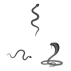 Isolated object of harm and bite sign. Collection of harm and reptile stock vector illustration.