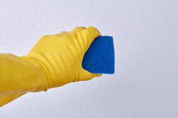 Hand in glove holding cleaning sponge. Cleaning and housekeeping concept.