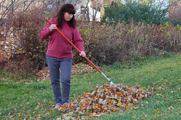Eine Frau recht im Garten Laub zusammen. Gartenarbeit im Herbst 