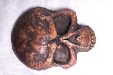 copper skull on white background