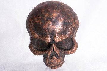 skull on white background