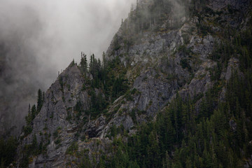 rugged and rocky mountain covered in fog and trees