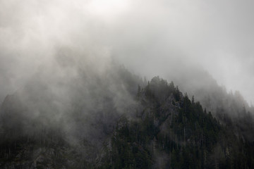 rugged and rocky mountain covered in fog and trees