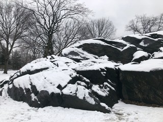 Central Park, New York City early morning at sunrise in winter snow storm 