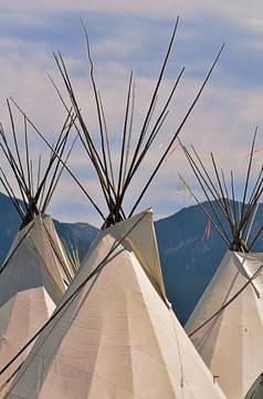 The tops of a group of contemporary canvas Indian lodges.