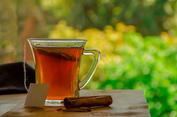 cup of tea with cinnamon with nature background, in a glass cup