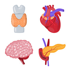 Vector illustration of anatomy and organ logo. Collection of anatomy and medical stock symbol for web.