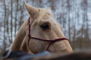 Old Town Road © Heinrich