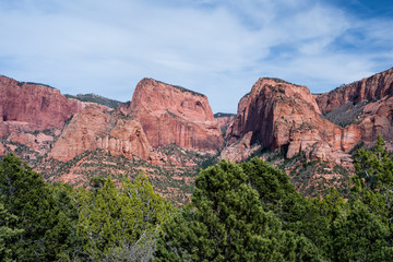 Fototapeta premium Red rock scenery at Kolob Canyons in Zion National Park, Utah, USA