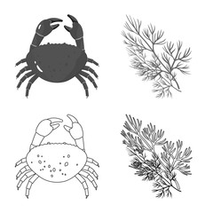 Vector design of taste and product sign. Set of taste and cooking vector icon for stock.