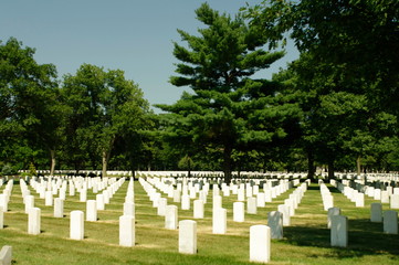 Fototapeta na wymiar american war cemetery