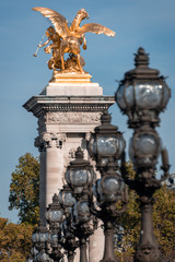 Fototapeta na wymiar Gold, Gilded winged horse (Fames) on column with lamp posts and trees on Pont Alexandre II in Paris