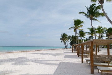 Obraz na płótnie Canvas palm trees and sun loungers on a sandy beach by the sea
