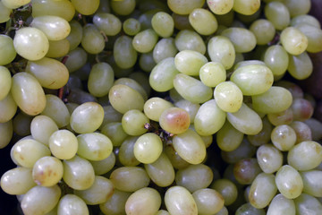 pitted green grape for sale at the fair