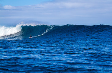 Fototapeta na wymiar Lone Surfer riding a giant wave in Hawaii
