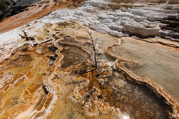 Mammoth Hot Springs - Yellowstone National Park