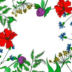 Vector Wildflowers floral botanical flowers. Black and white engraved ink art. Frame border ornament square.