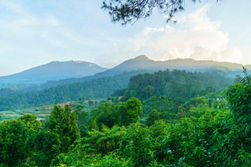 Fototapeta premium The view to Gede-Pangrango national park in Bogor , Indonesia