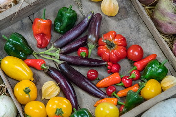 A colourful collection of tomatoes, peppers, chillis, aubergines and Chinese Lantern seed heads